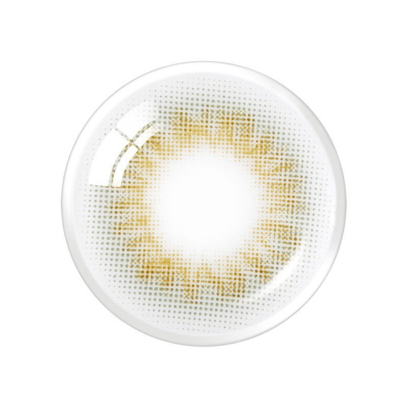 OLENS Scandi Gray | 1-Day | 10P