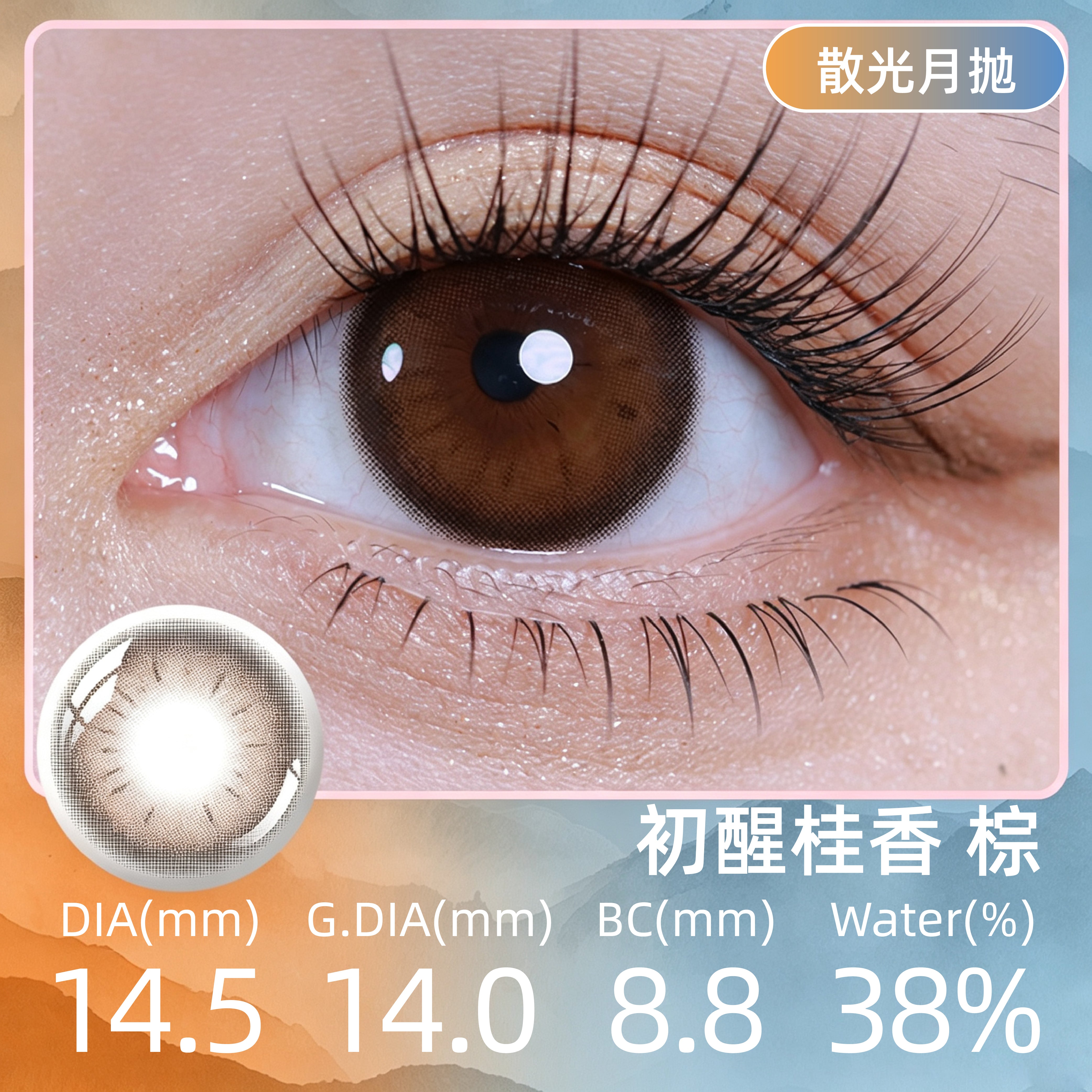 LeBleu 瀾柏 初醒桂香 棕 | 1-Month | 2P