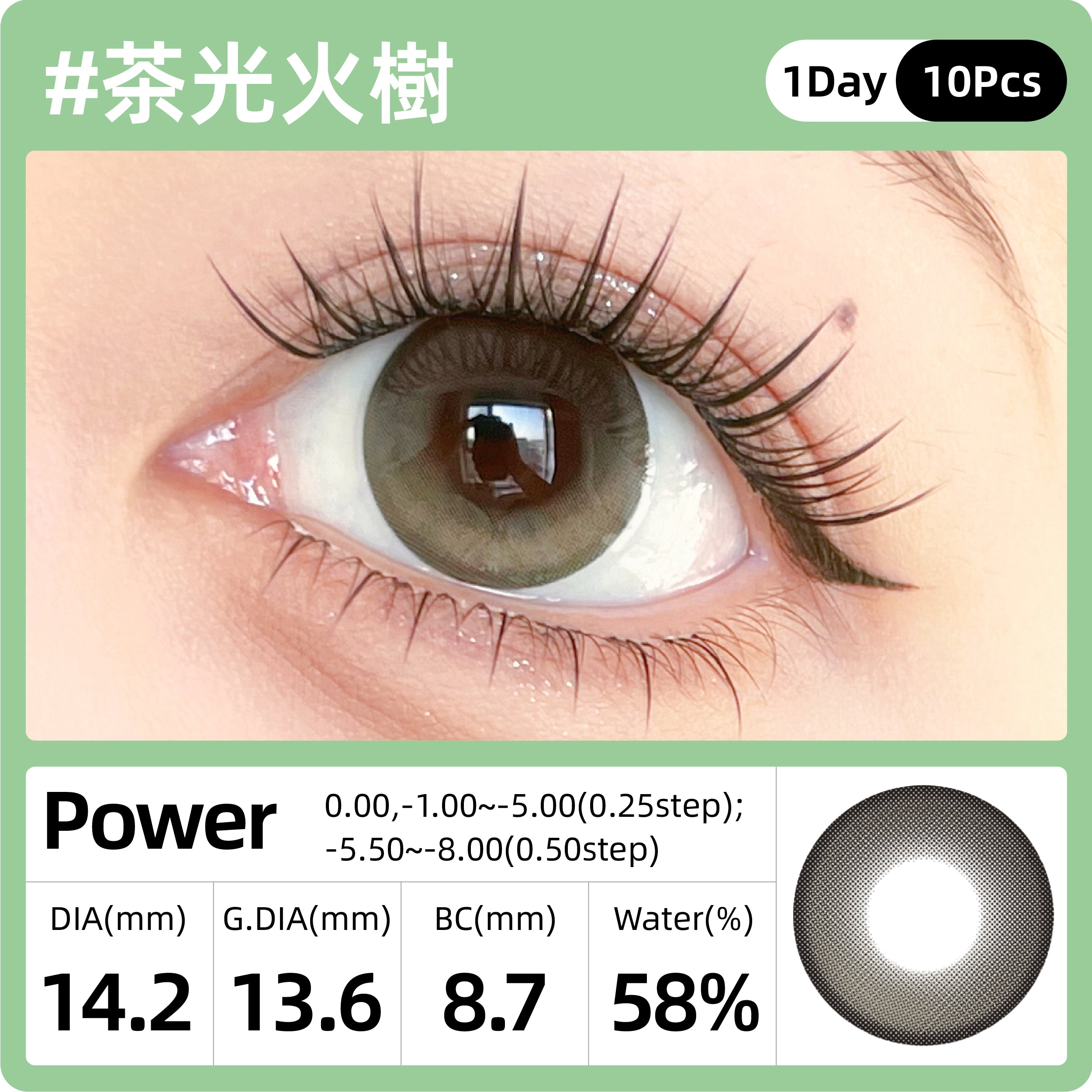 SweetColor 茶光火樹 | 1-Day | 10P