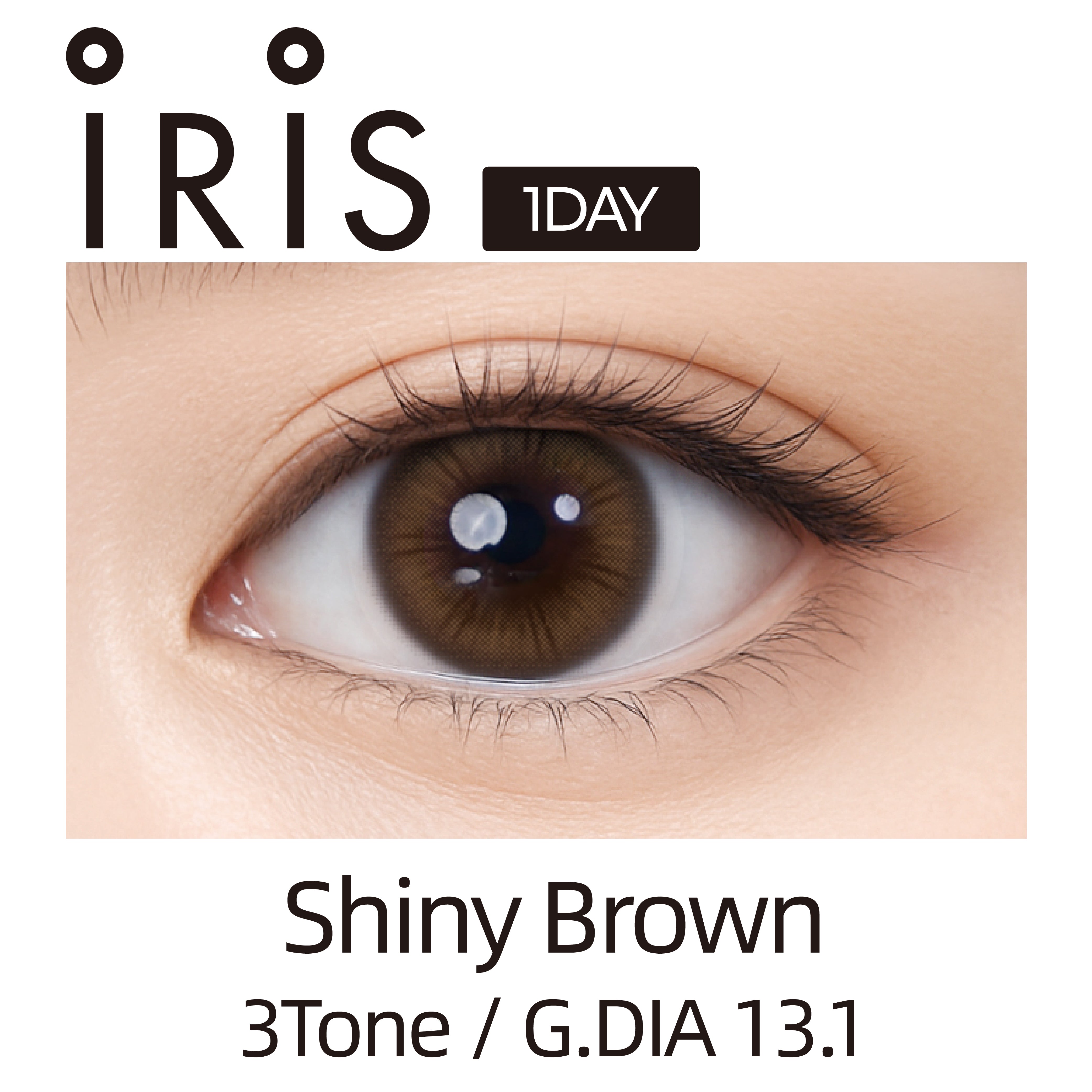 Clalen IRIS Muse Shiny Brown | 1-Day | 10P