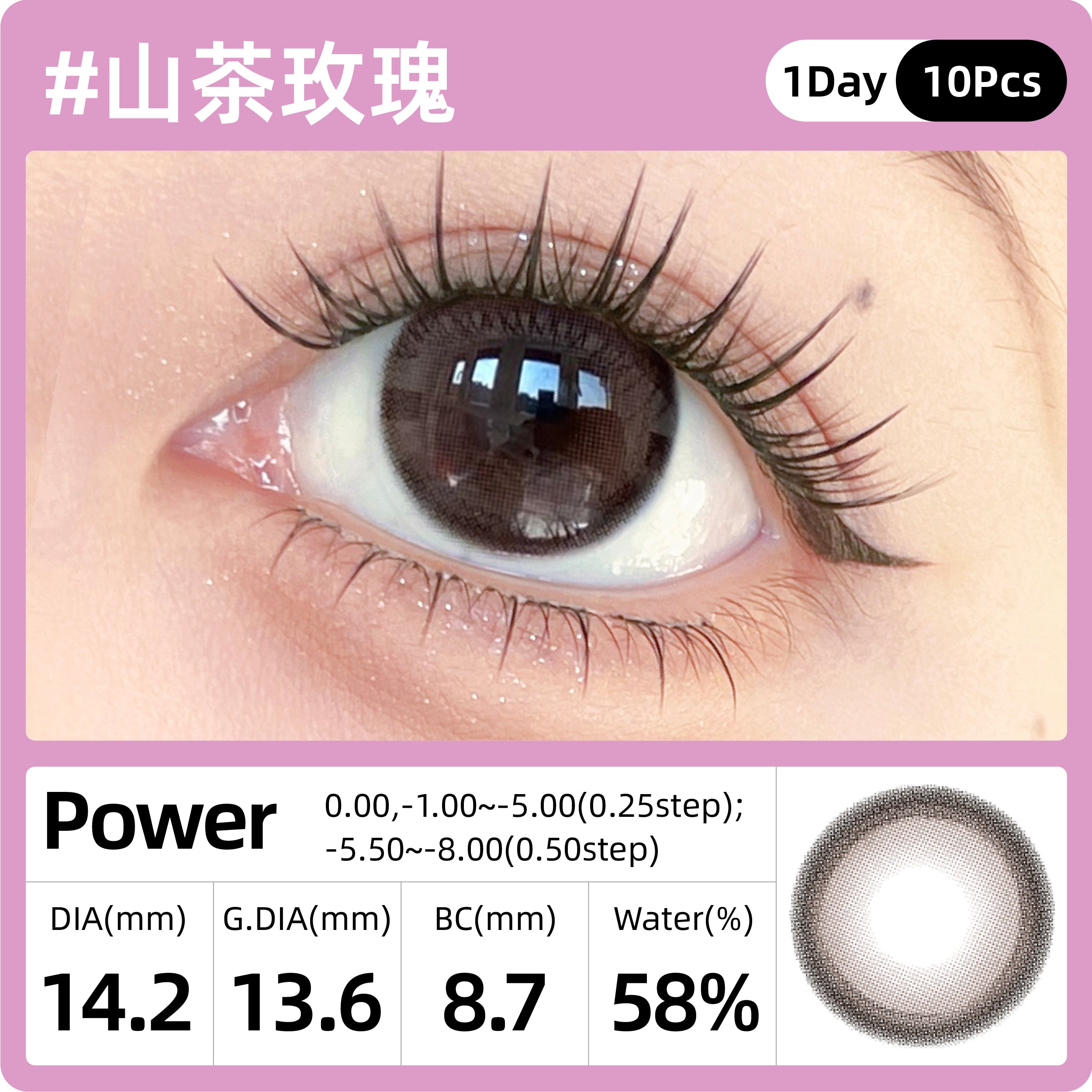 SweetColor 山茶玫瑰 | 1-Day | 10P