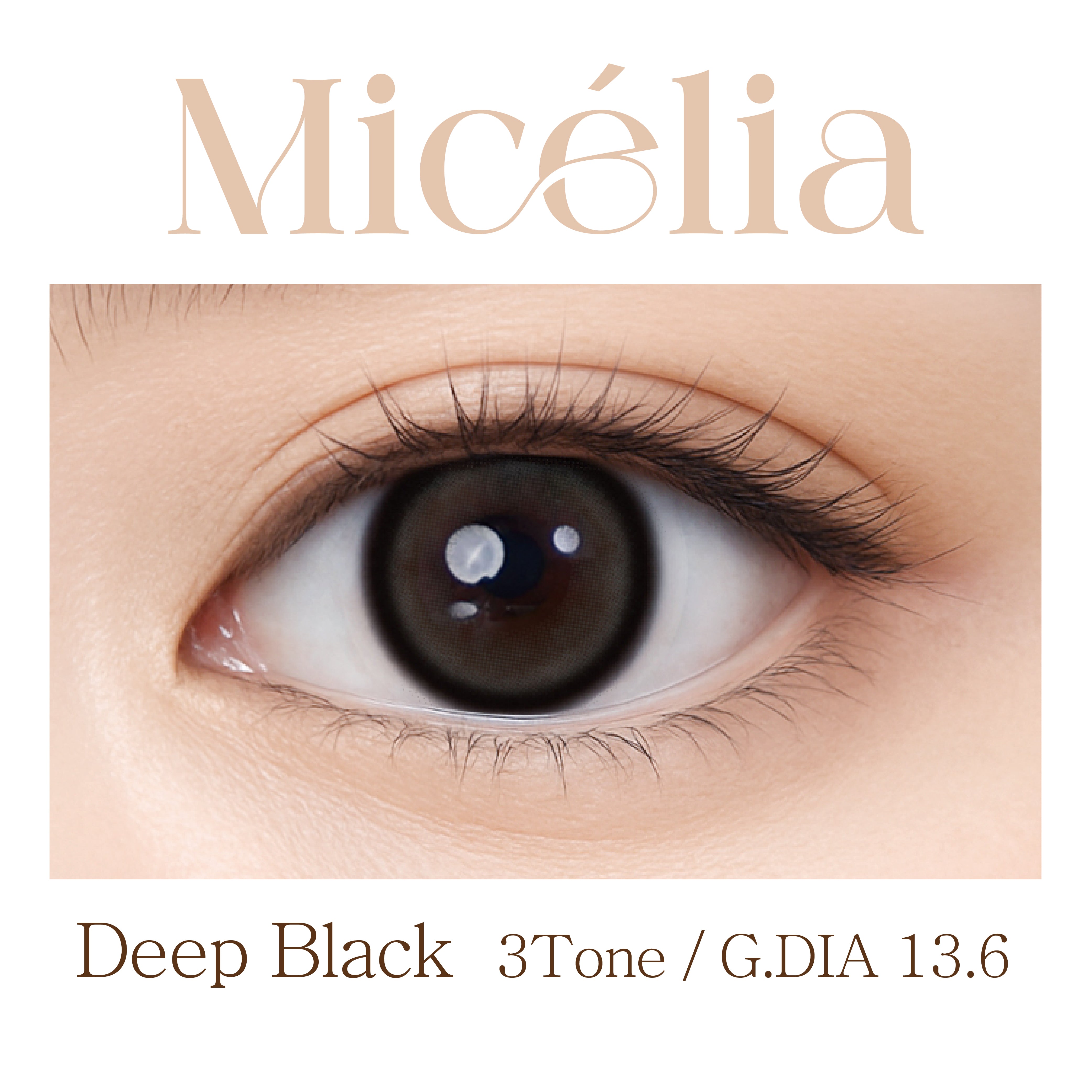 Clalen O2O2 Color Micelia Deep Black | 1-Month | 2P