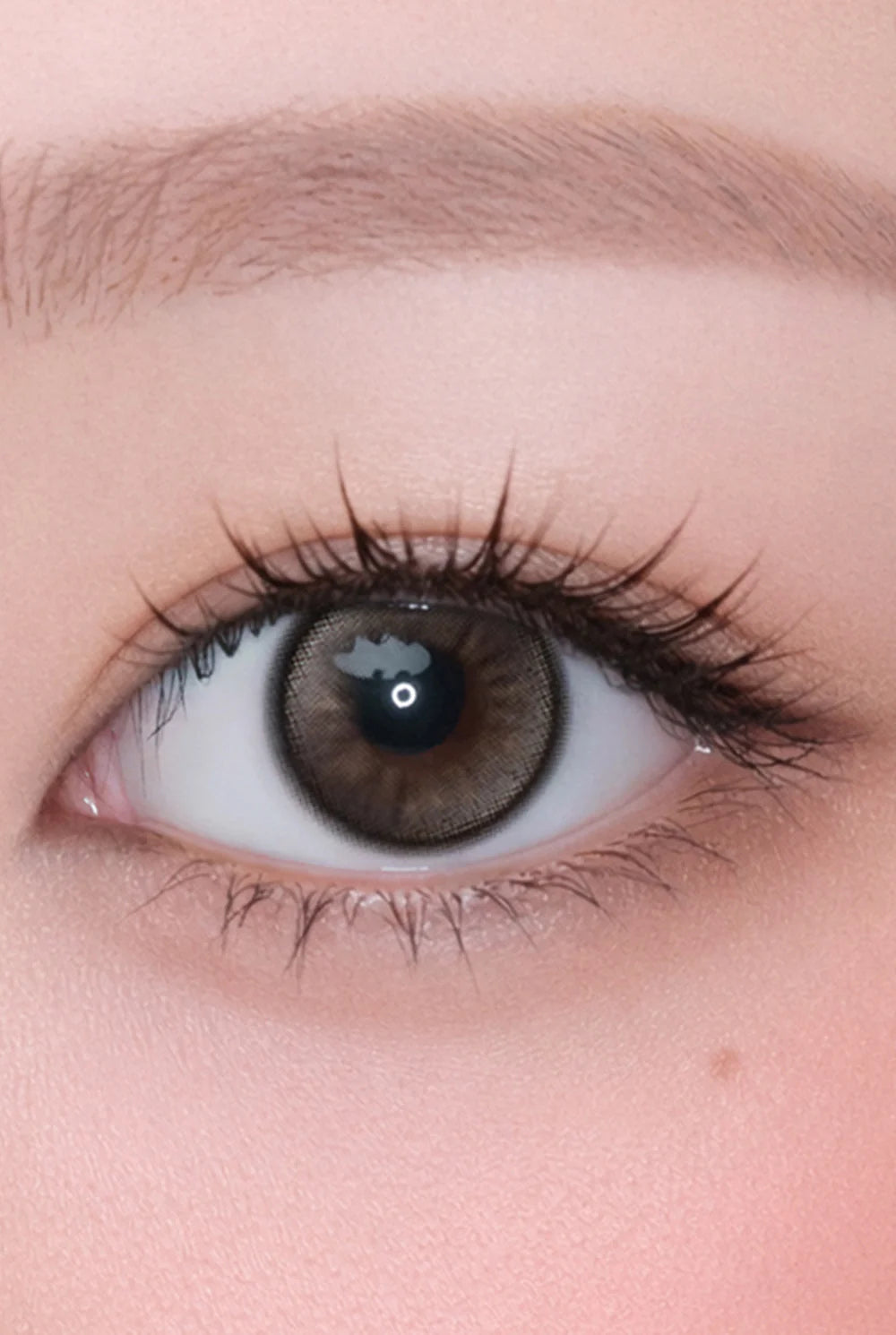 Hapa Kristin Dolly Kristin - Beige | 1-Day | 10P