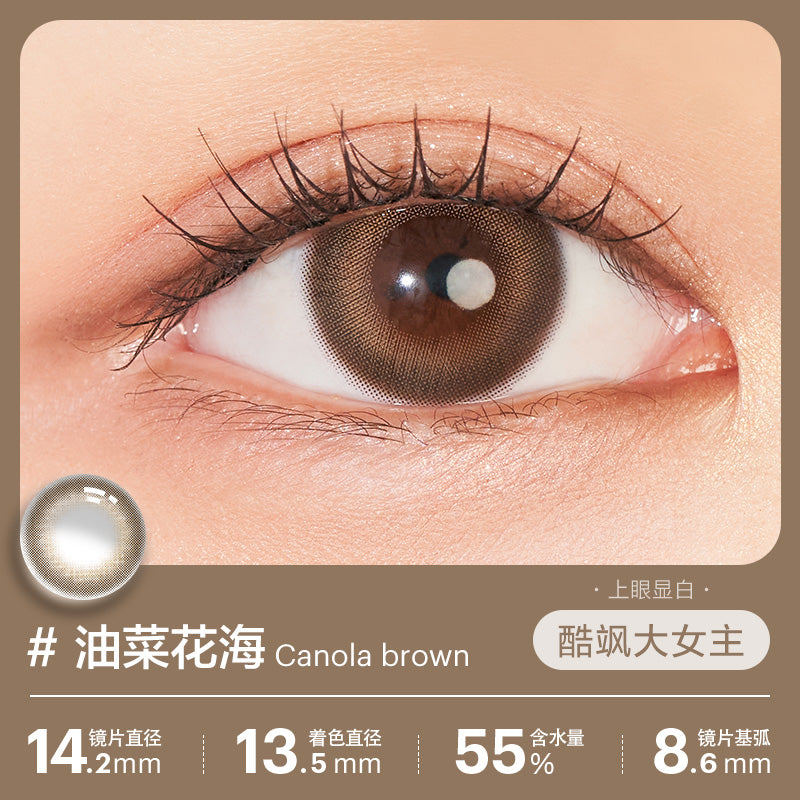 Clalen Iris Canola Brown | 1-Day | 10P