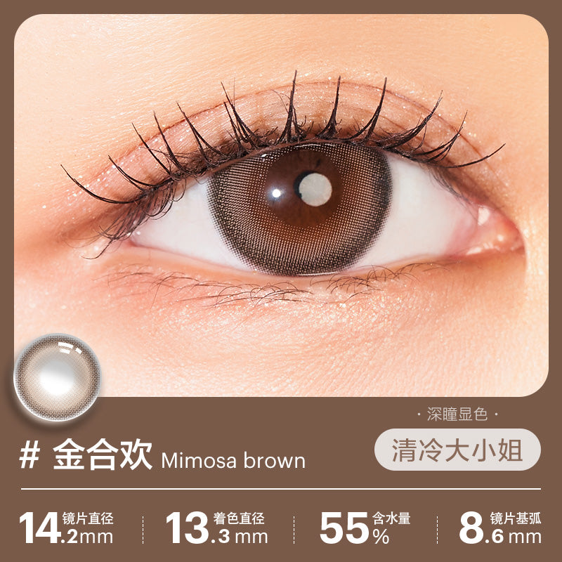 Clalen Iris Mimosa Brown | 1-Day | 10P