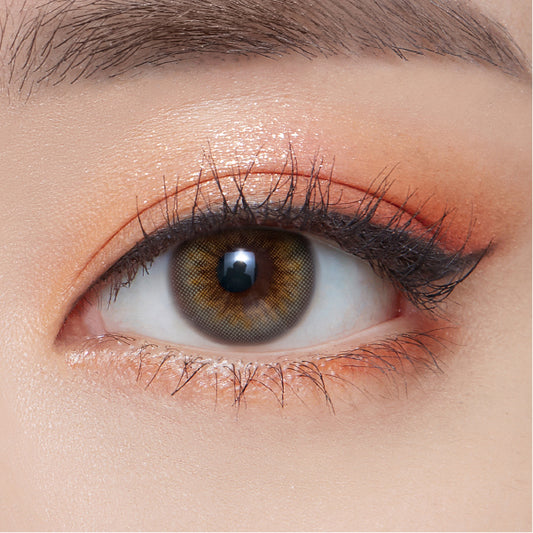 OLENS Scandi Gray | 1-Day | 10P