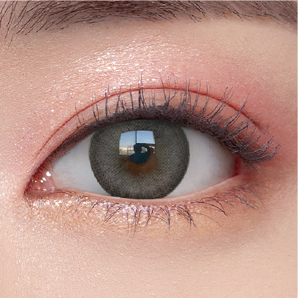 OLENS EverShine Gray | 1-Day | 10P