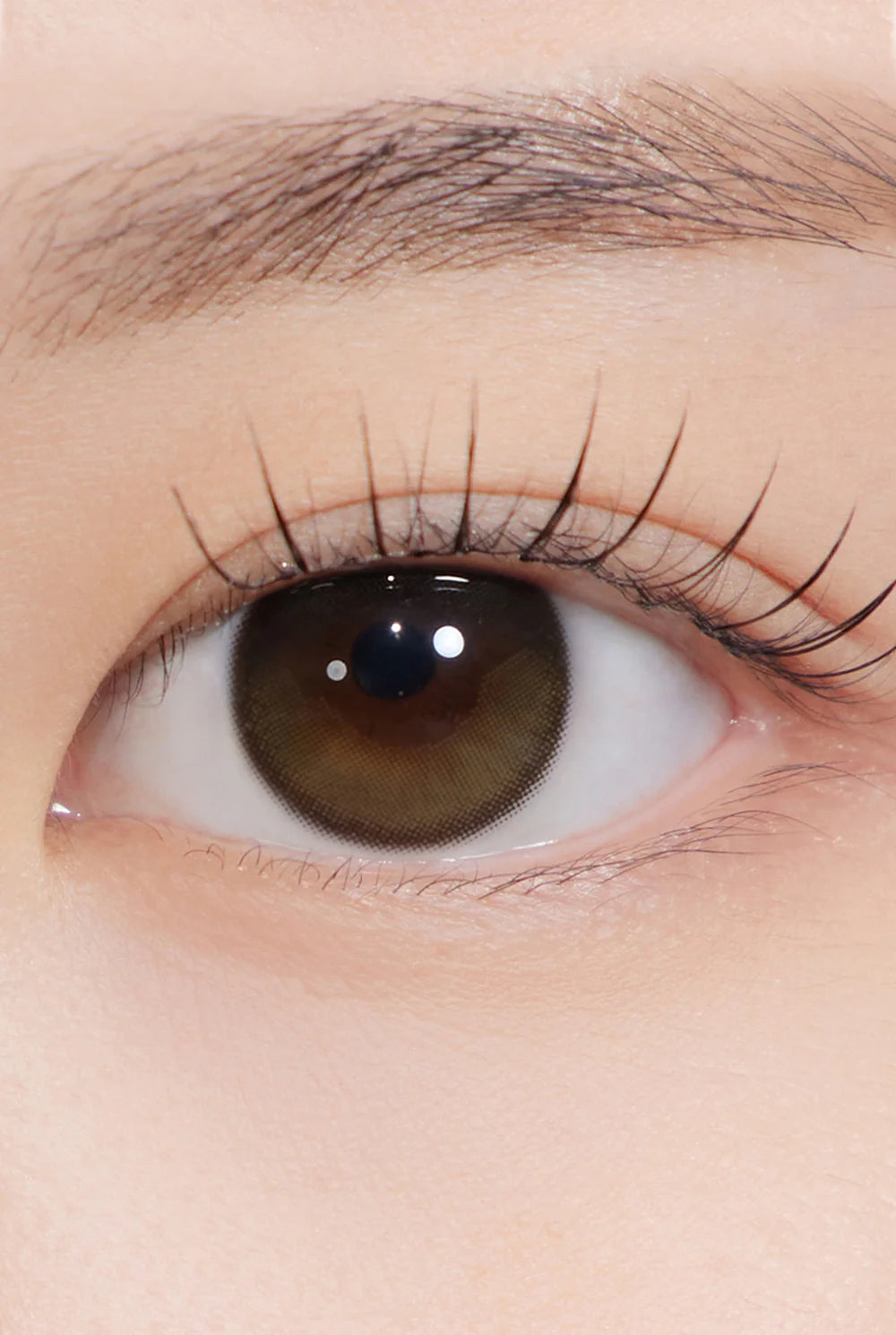 Hapa Kristin  Secretive Kristin Creme Brown | 1-Day | 10P
