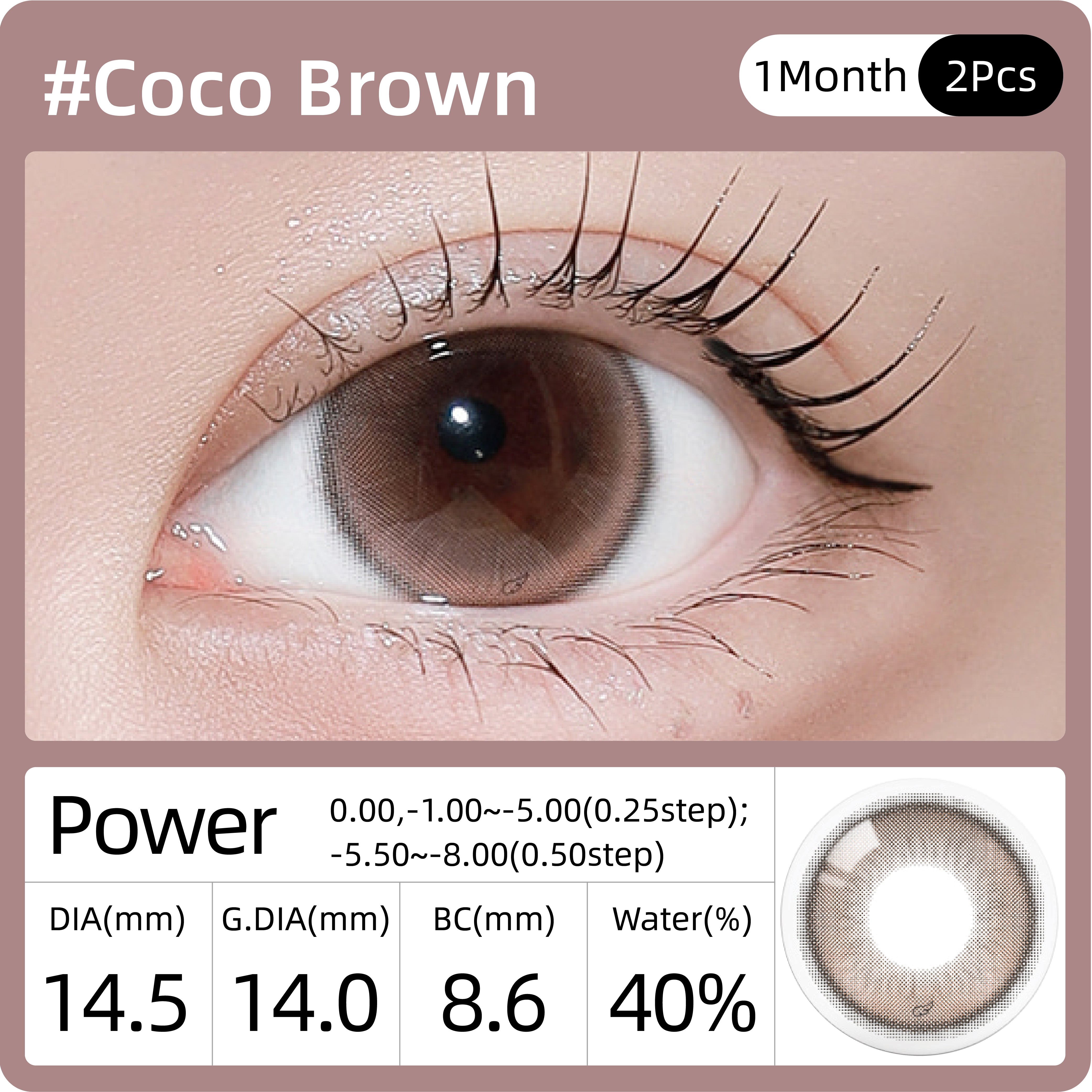 OLOLA Ryu's Choco Brown | 1-Month | 2P