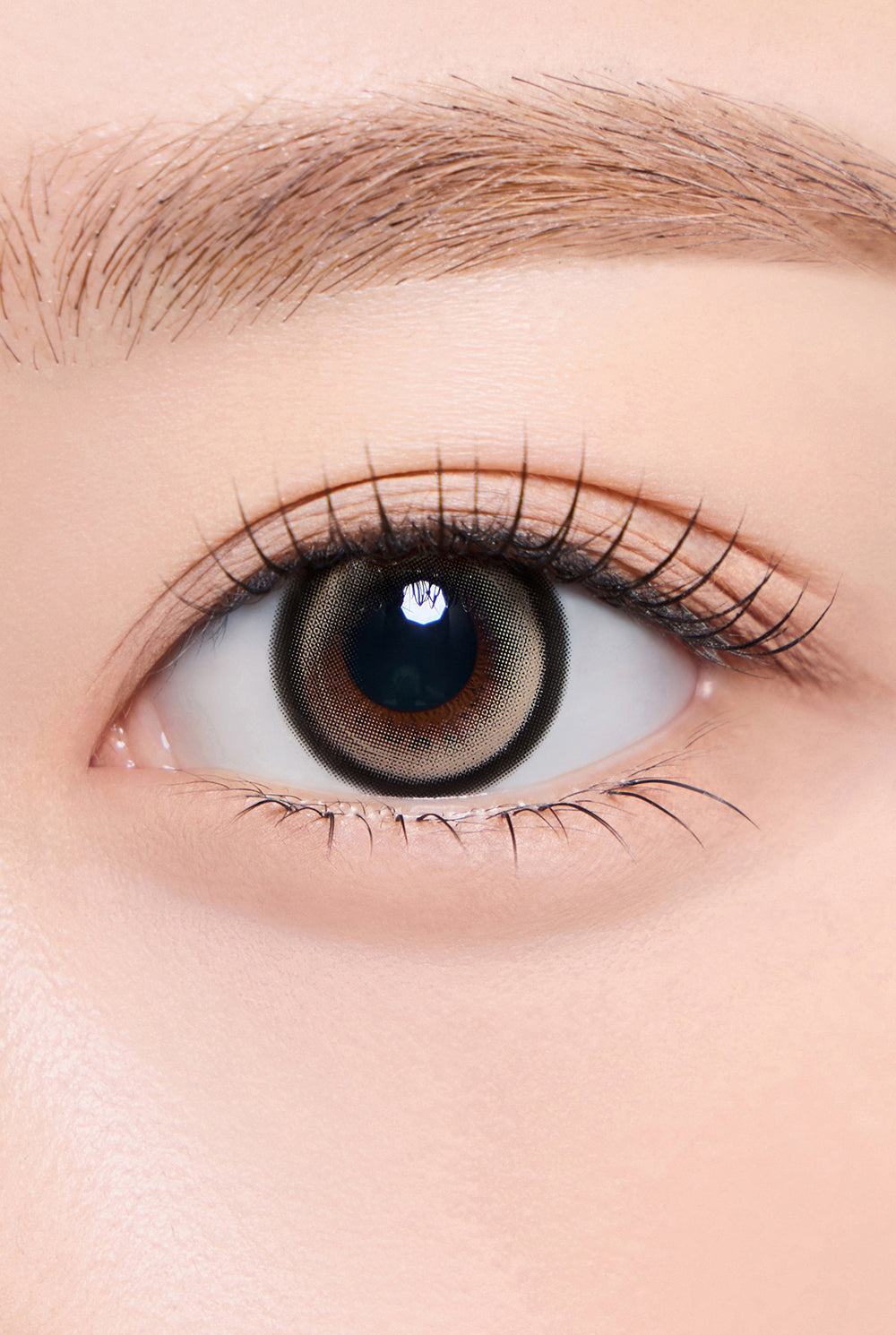 Hapa Kristin Cat-titude Kristin - Lady Beige | 1-Day | 10P